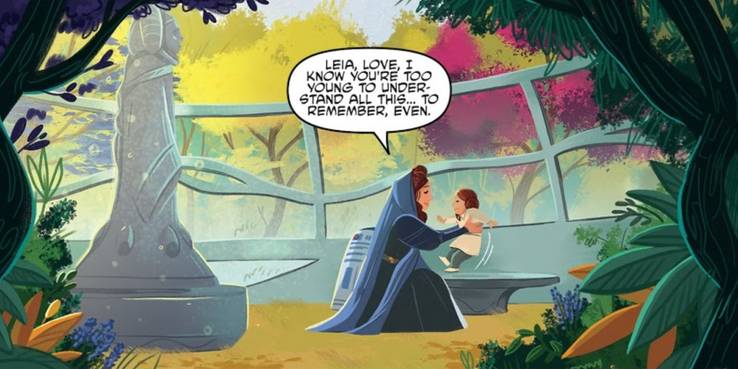 Star Wars Attempts to Fix Leia and Padme Plot Hole 4 How that plot hole was fixed?