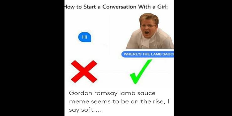 Hell S Kitchen 10 Most Hilarious Gordon Ramsay Lamb Sauce Memes