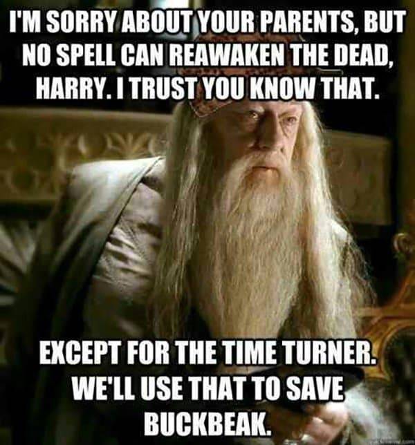 Harry Potter 10 Hilarious Dumbledore Memes Only True Fans Will