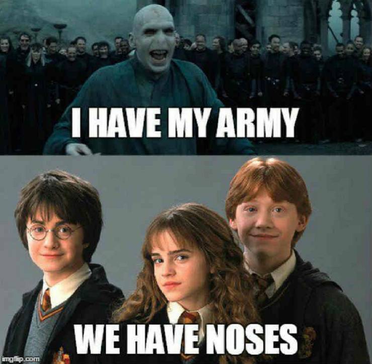 Hermione Meme Goes Viral After Different Inscriptions Added