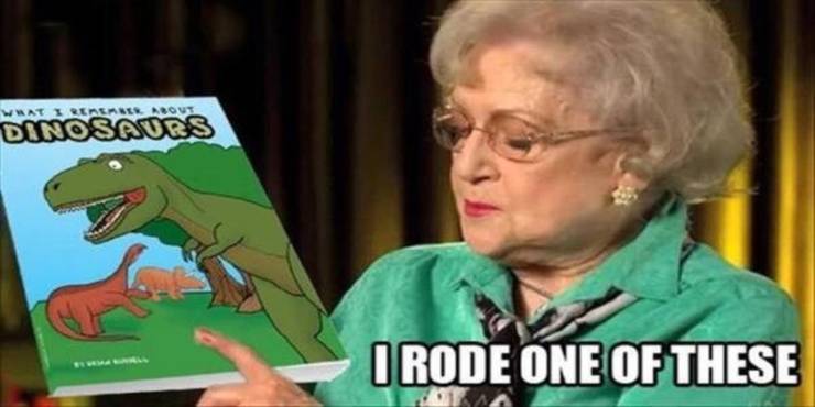 Golden Girls 10 Hilarious Betty White Memes That Are Too Funny
