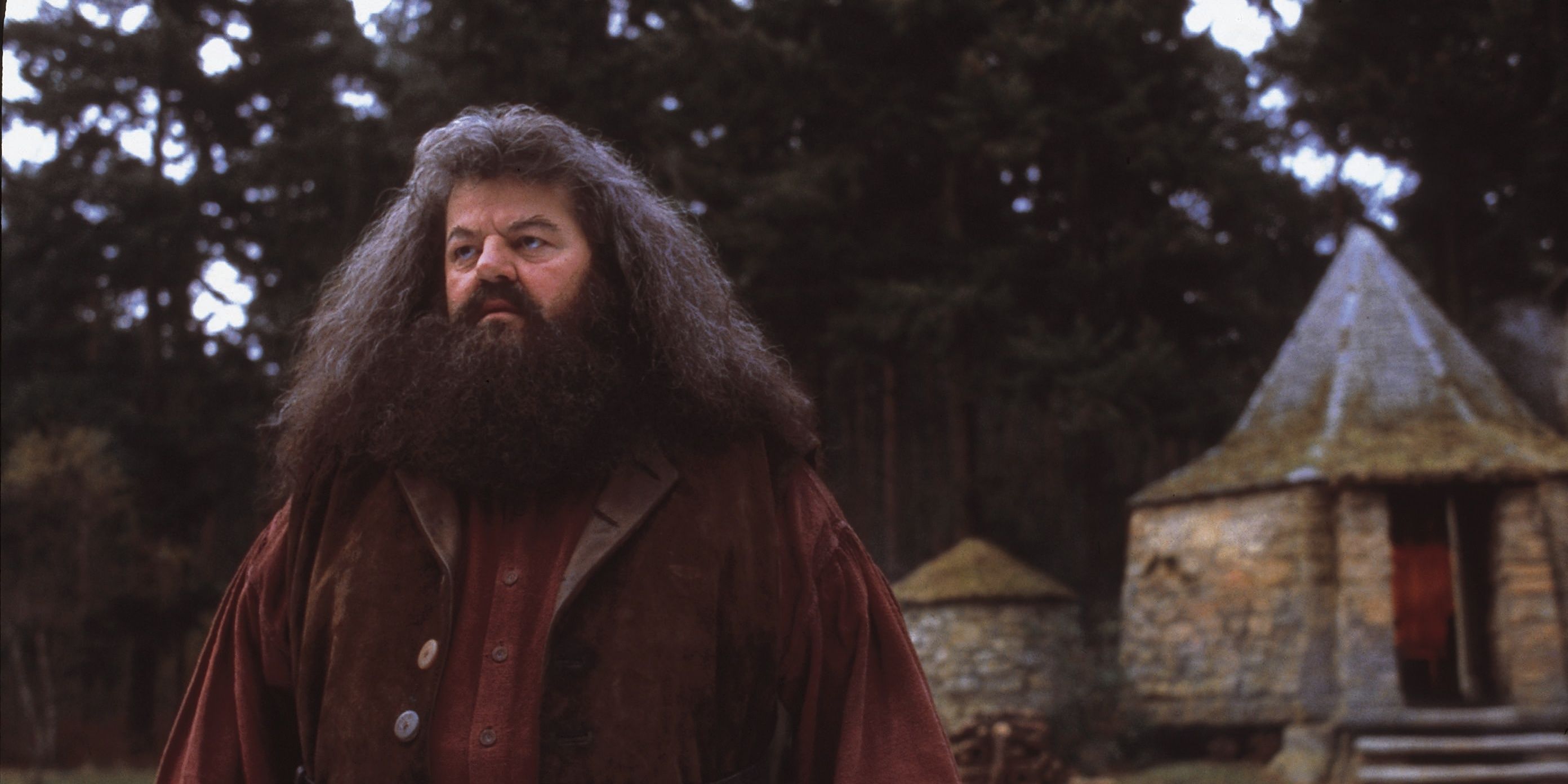 Harry Potter The 10 Worst Things Hagrid Ever Did