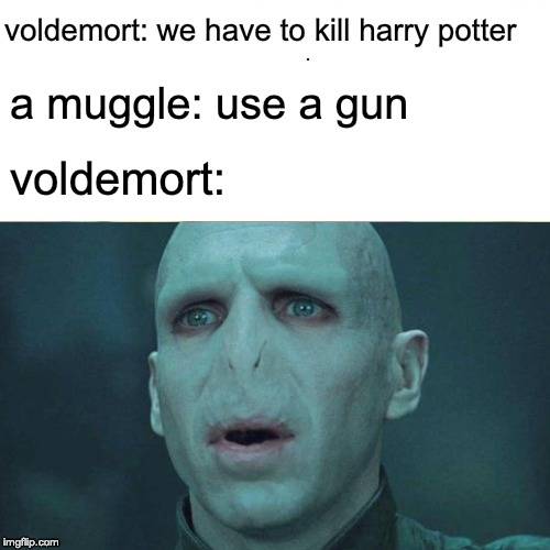 Harry Potter 10 Hilarious Voldemort Memes Only True Fans Will Understand