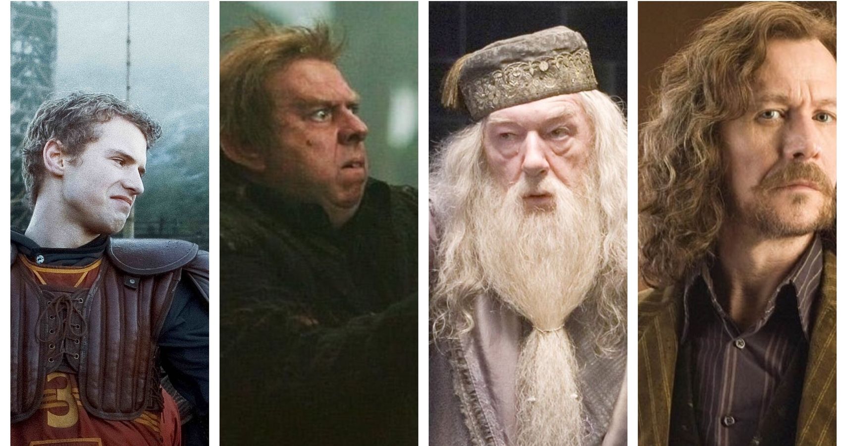 harry-potter-10-most-evil-gryffindors-of-the-whole-series