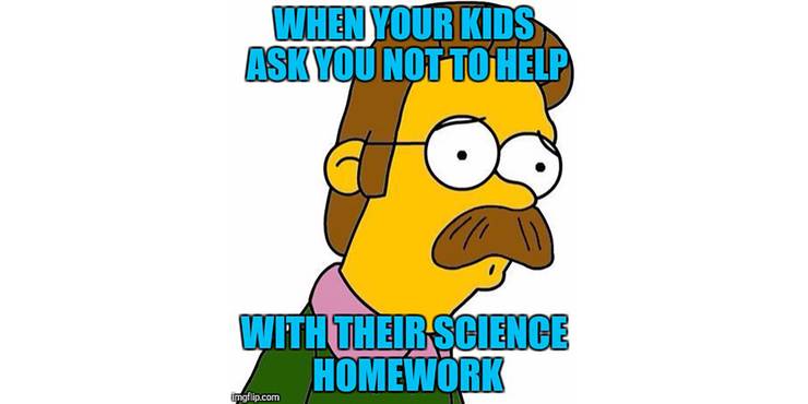 The Simpsons 10 Funniest Ned Flanders Memes Only True Fans Will