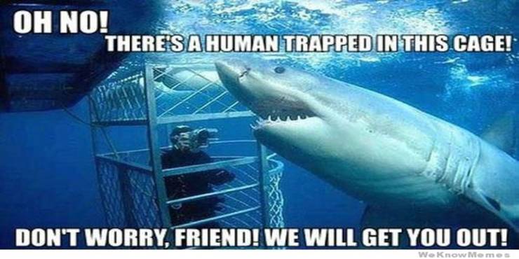 10 Jaws Logic Memes That Are Too Hilarious For Words Screenrant
