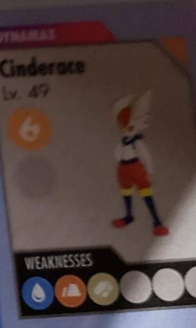 Pokemon Sword And Shield Final Starter Evolutions Are Weird Pokemon Sword And Shield Final Starter Evolutions Are Weird