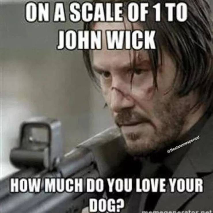 10 John Wick Memes That Are Too Hilarious For Words Screenrant