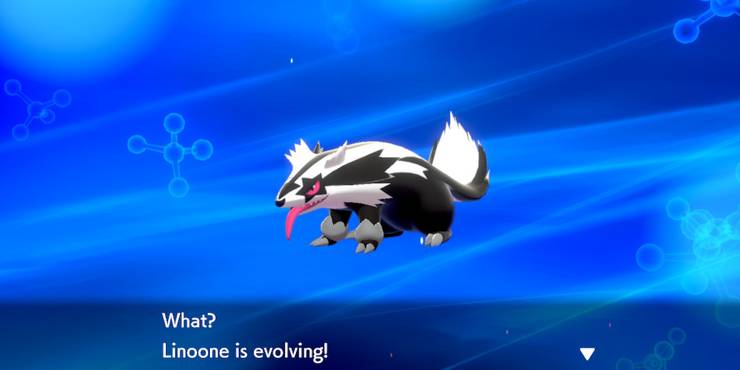 Pokemon Sword Shield How To Evolve Galarian Linoone Into