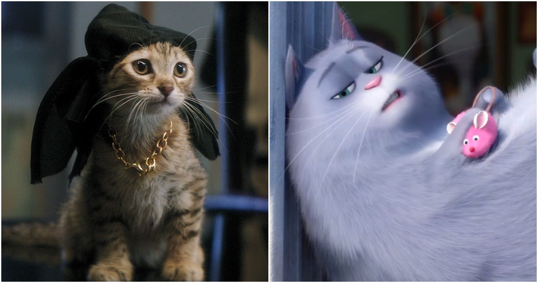 10 Cat Themed Movies To Watch Instead Of Cats 2019 Screenrant