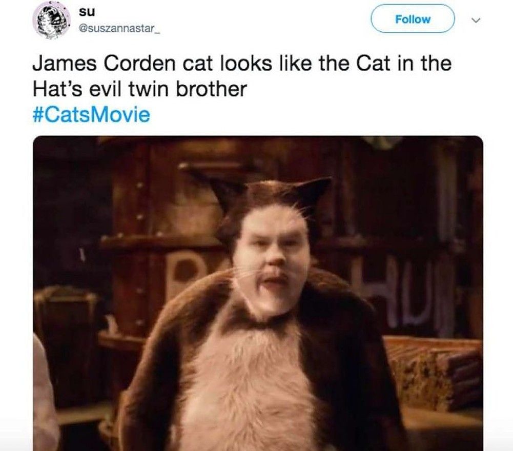 Tv And Movie News 10 Hilarious Memes About Cats 2019 That