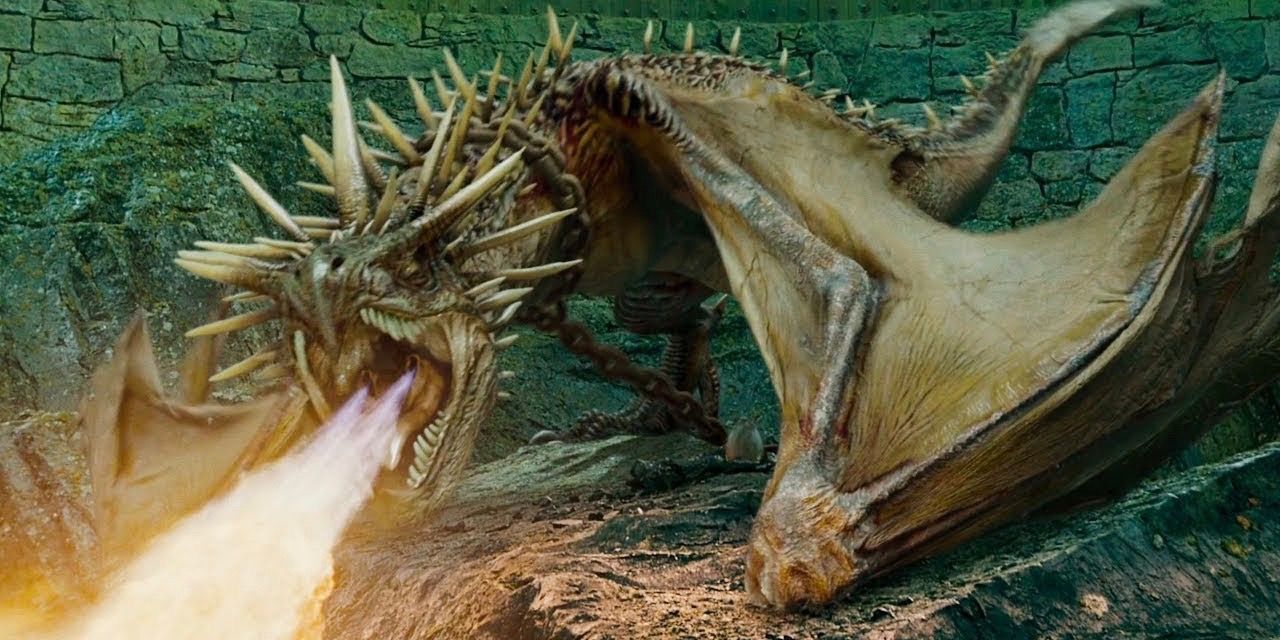 Harry Potter 10 Unanswered Questions We Still Have About Dragons