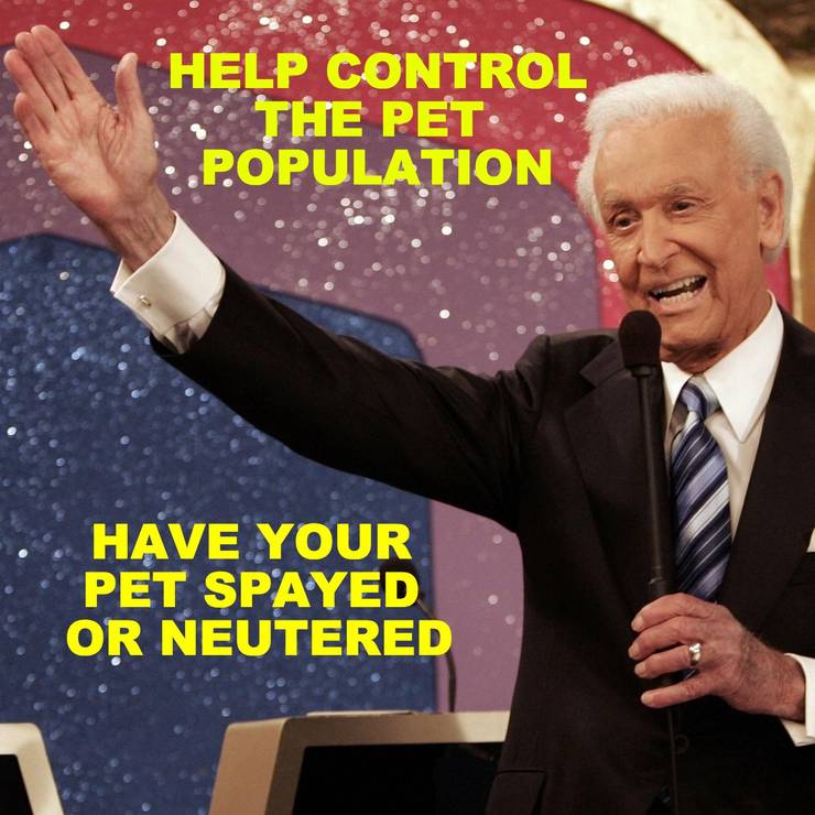 These Game Show Memes Will Make You Laugh Like Crazy!! 14 EWk3ySz