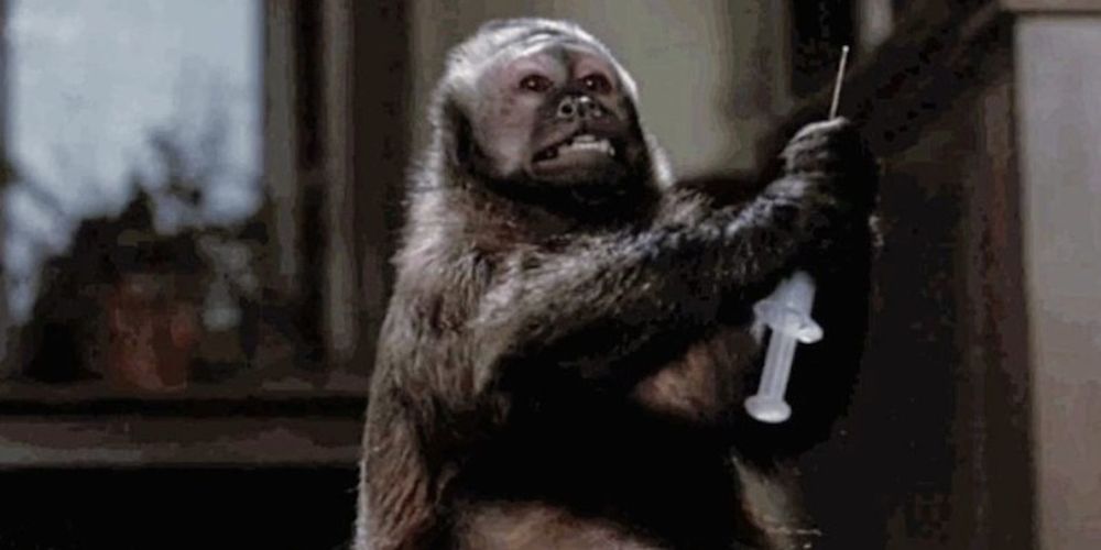 10 Silliest Apes In Horror Movie History Ranked