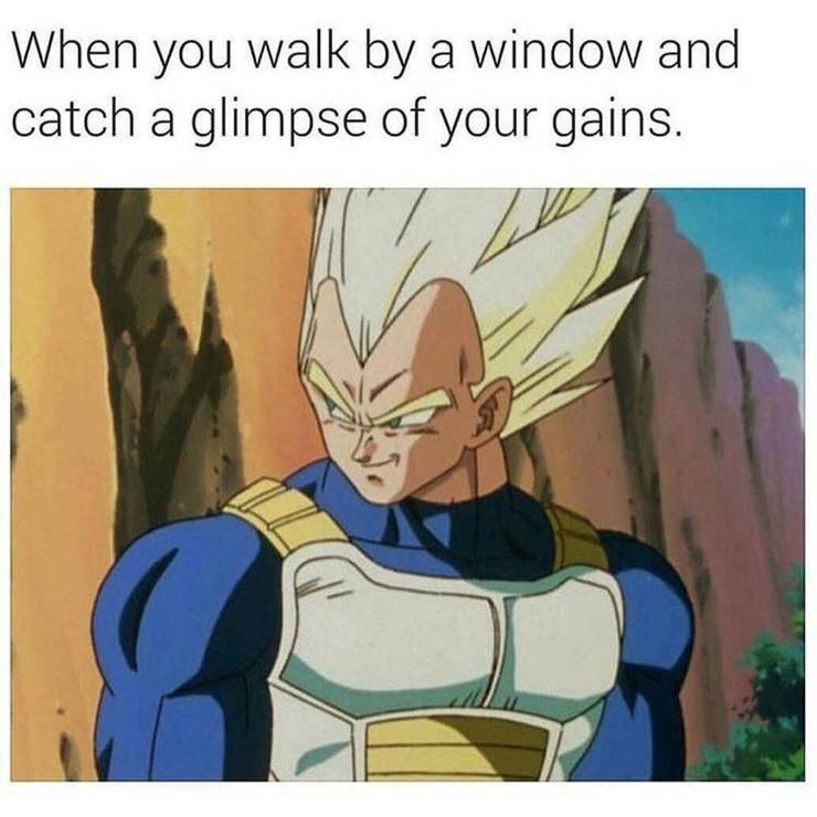 Dragon Ball 10 Hilarious Vegeta Memes That Are Too Funny