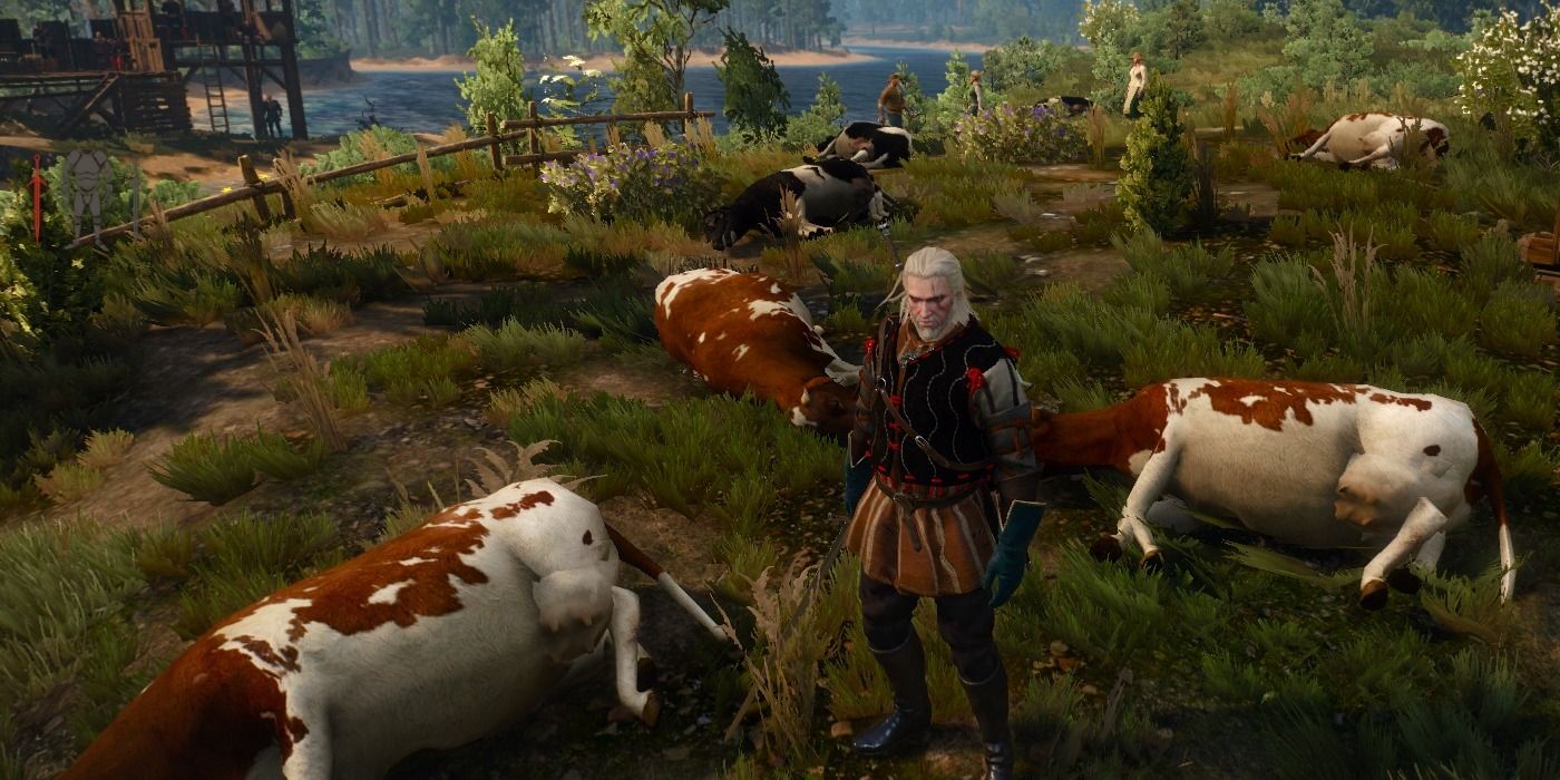 Witcher 3 The Secret Boss You Probably Didnt Know About