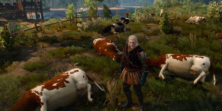 CDPR troll players in Witcher 3 trying to in game economy | NeoGAF