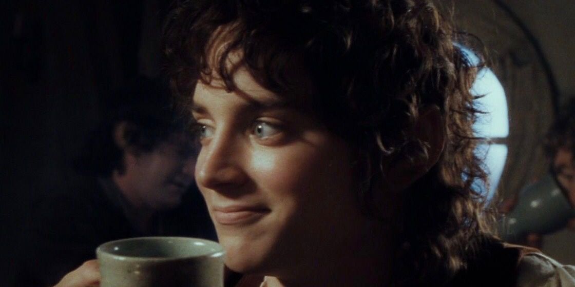 Lord of the Rings 10 Reasons Sam and Frodo Arent Real Friends