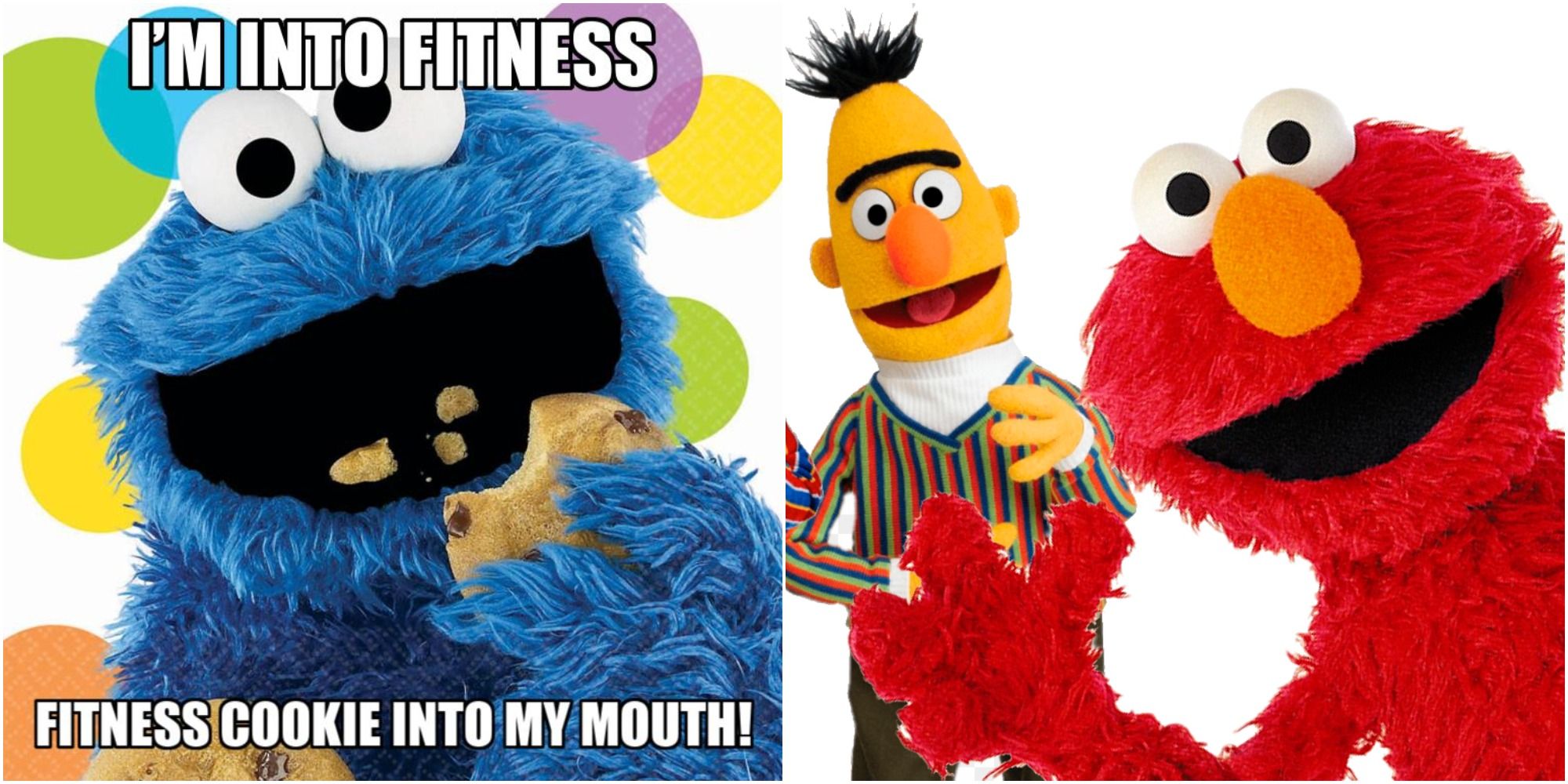 10 Adorable Hilarious Sesame Street Memes That Take Us Back To Our ...
