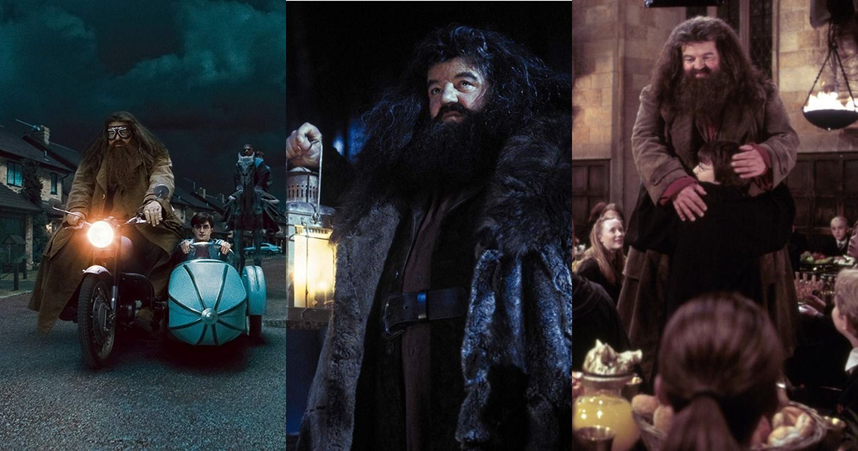 Harry Potter 10 Biggest Ways Hagrid Changed From Philosophers Stone To Deathly Hallows