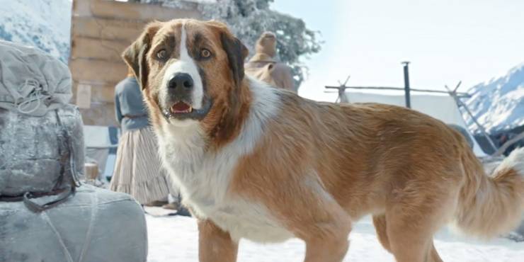 Why Call Of The Wild S Dog Was Cgi Who The Real Buck Is Why Call Of The Wild S Dog Was Cgi Who The Real Buck Is