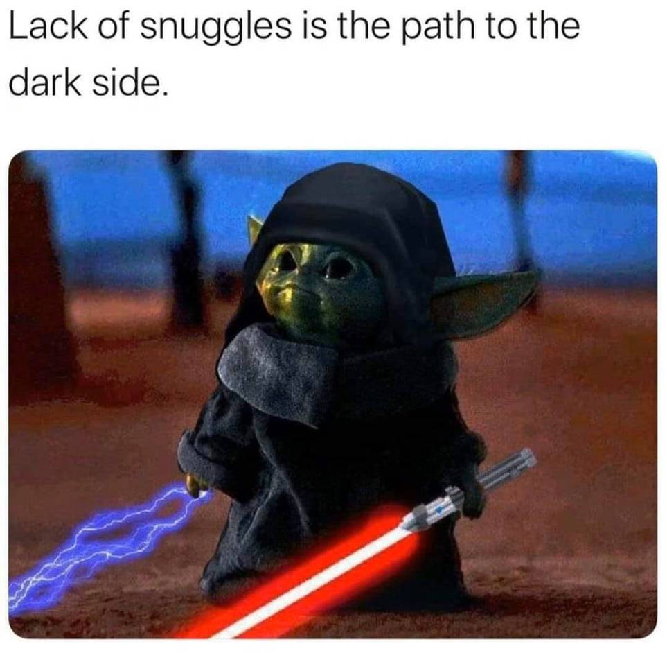 10 Most Relatable Angry Baby Yoda Memes That Will Make You Cry Laughing 10 Most Relatable Angry Baby Yoda Memes That Will Make You Cry Laughing