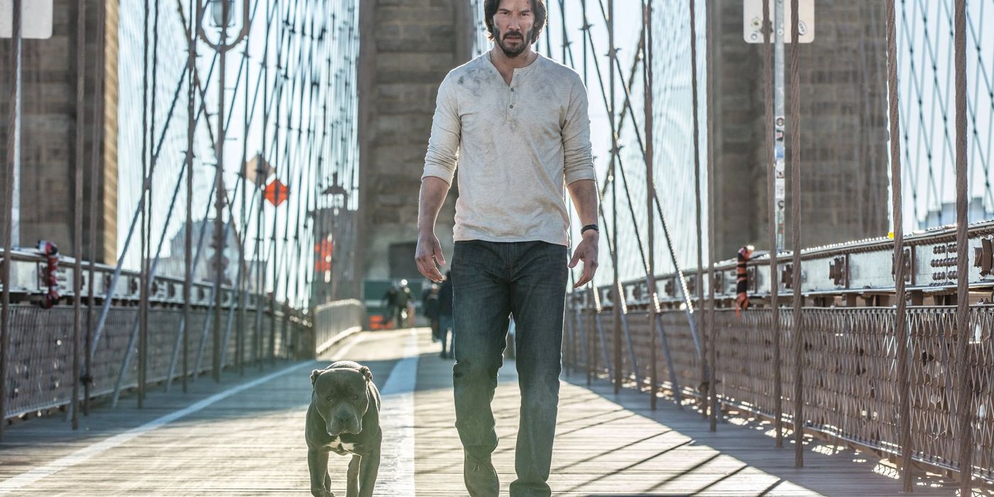 The 10 Best Companion Dogs In Movies