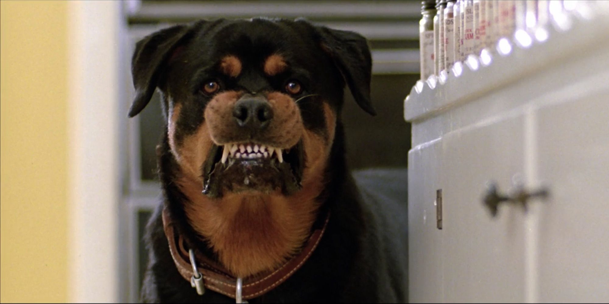 The 10 Most Badass Movie Dogs