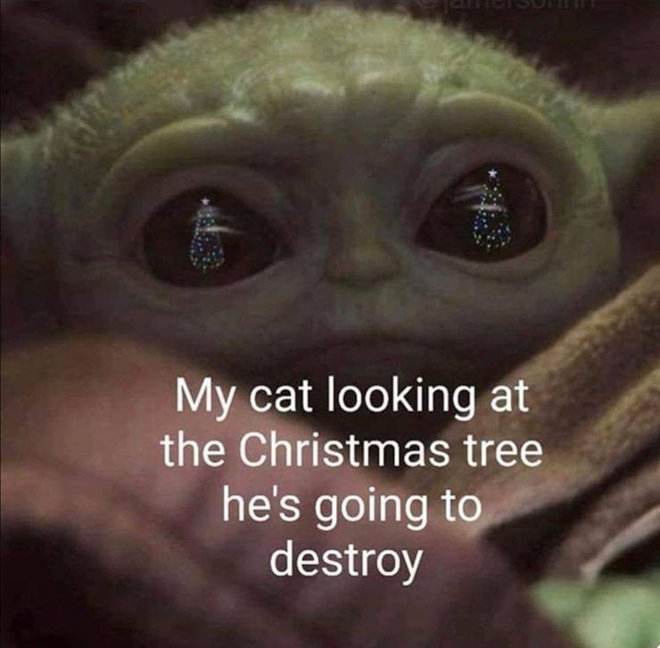 10 Hilarous Baby Yoda Memes About Pets We Can All Relate To