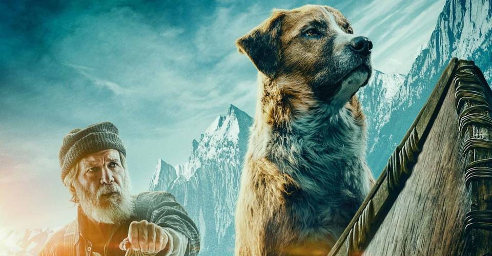Call Of The Wild 5 Best Live Action Dog Movies 5 Worst