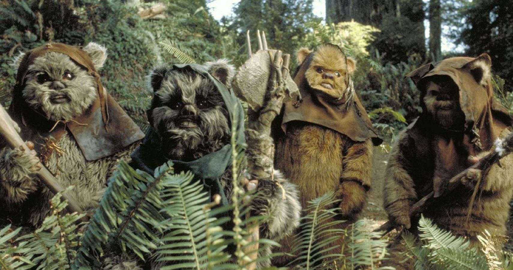 Top 10 Ewoks From The Star Wars Universe | ScreenRant