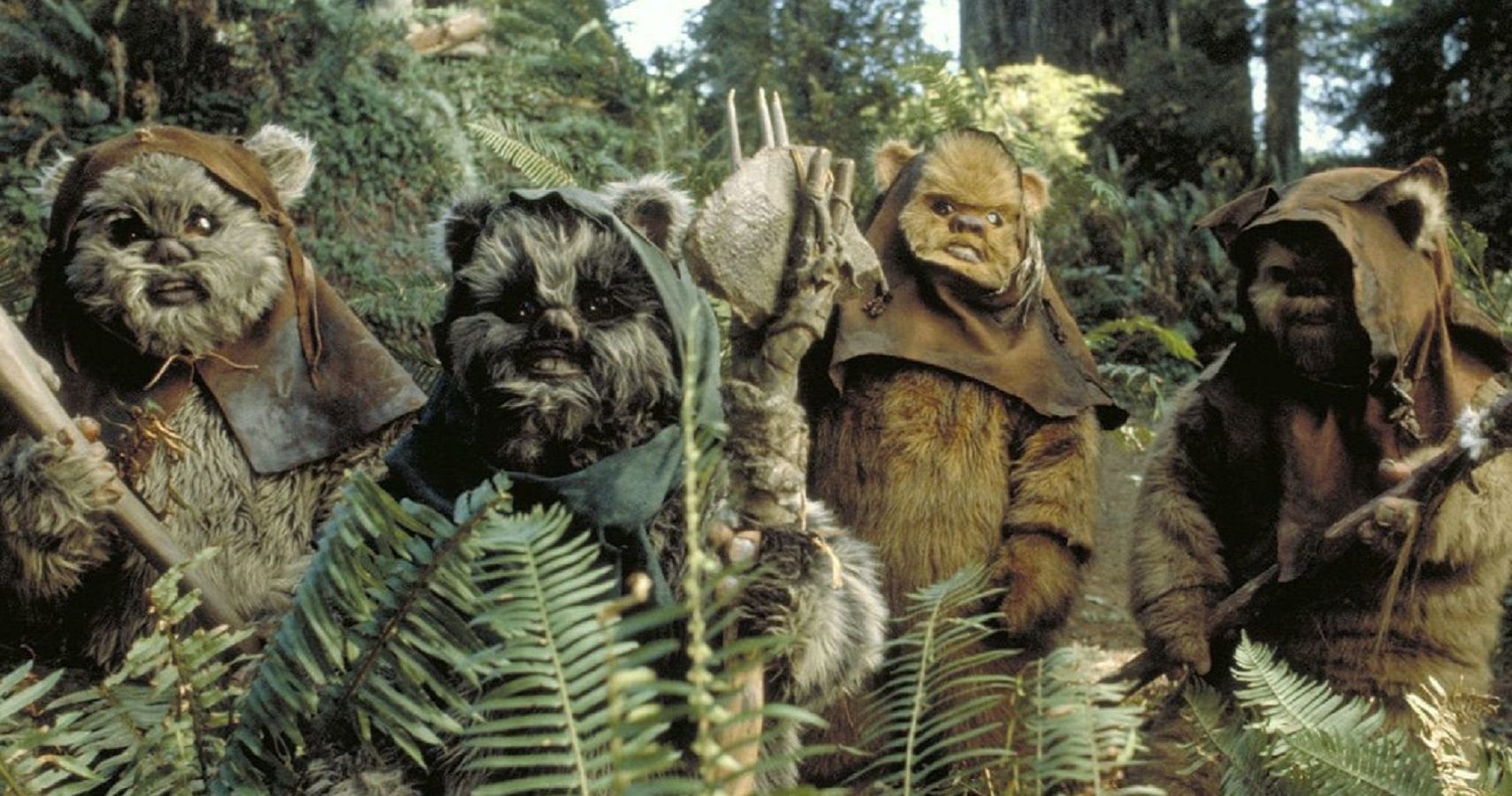 Top 10 Ewoks From The Star Wars Universe