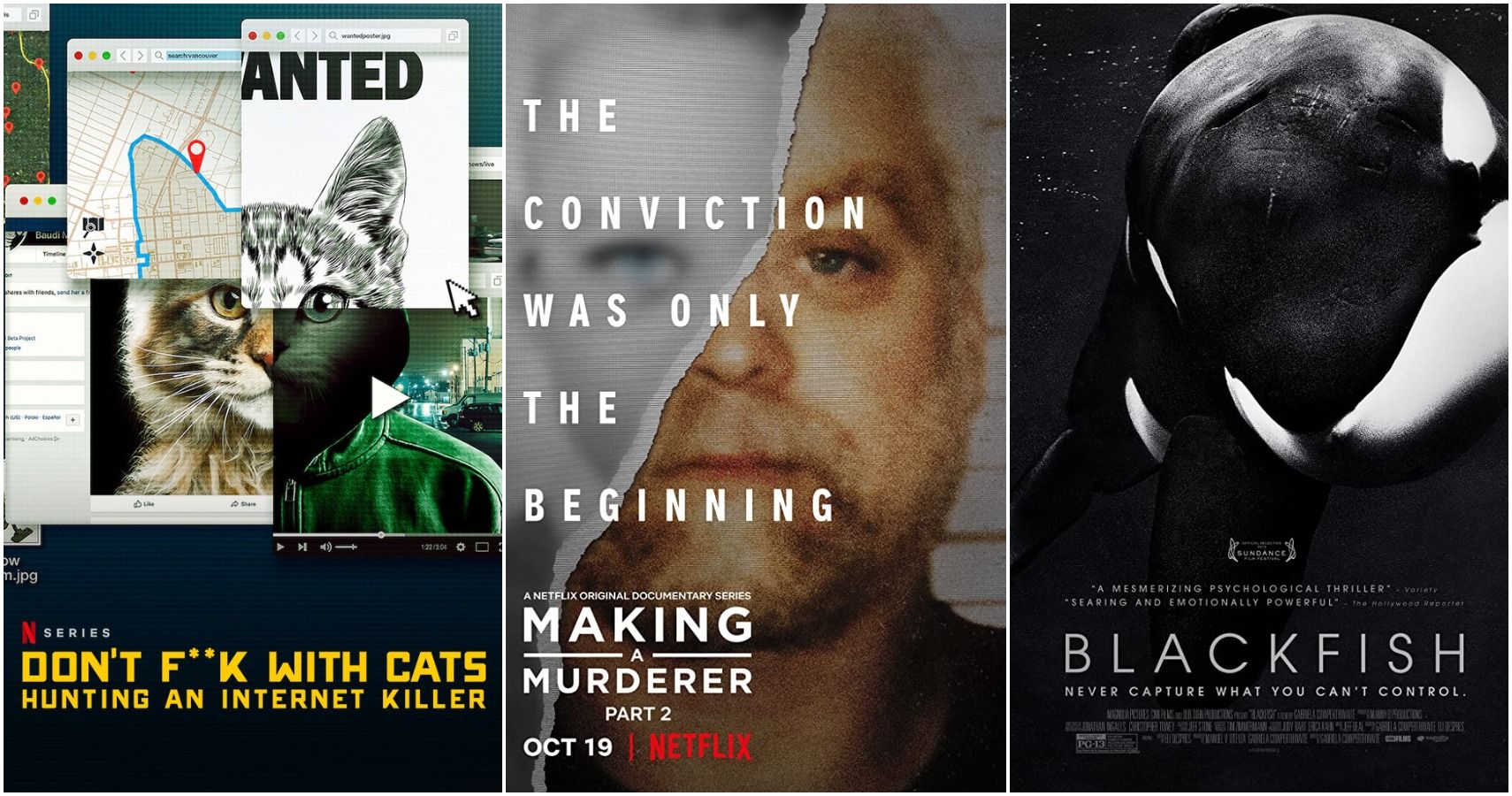Top 10 Documentaries On Netflix Right Now (According To IMDb)