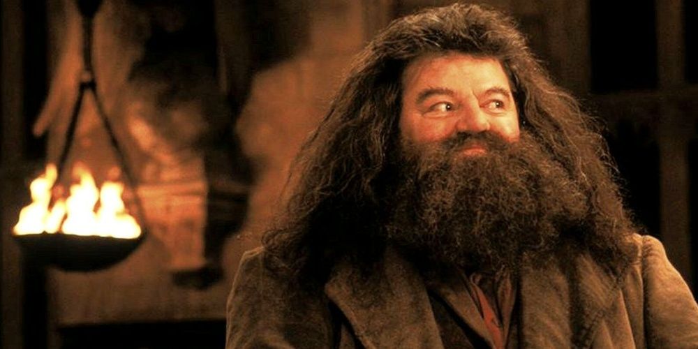 Harry Potter 5 Times Hagrid Was Inspiring (& 5 We Felt Sorry For Him)
