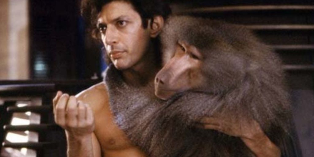 10 Strangest Jeff Goldblum Movies Ranked By Rotten Tomatoes