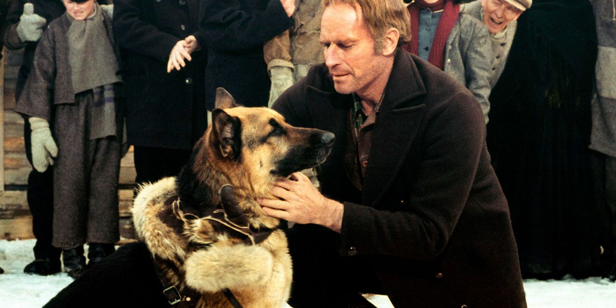 The 10 Most Badass Movie Dogs