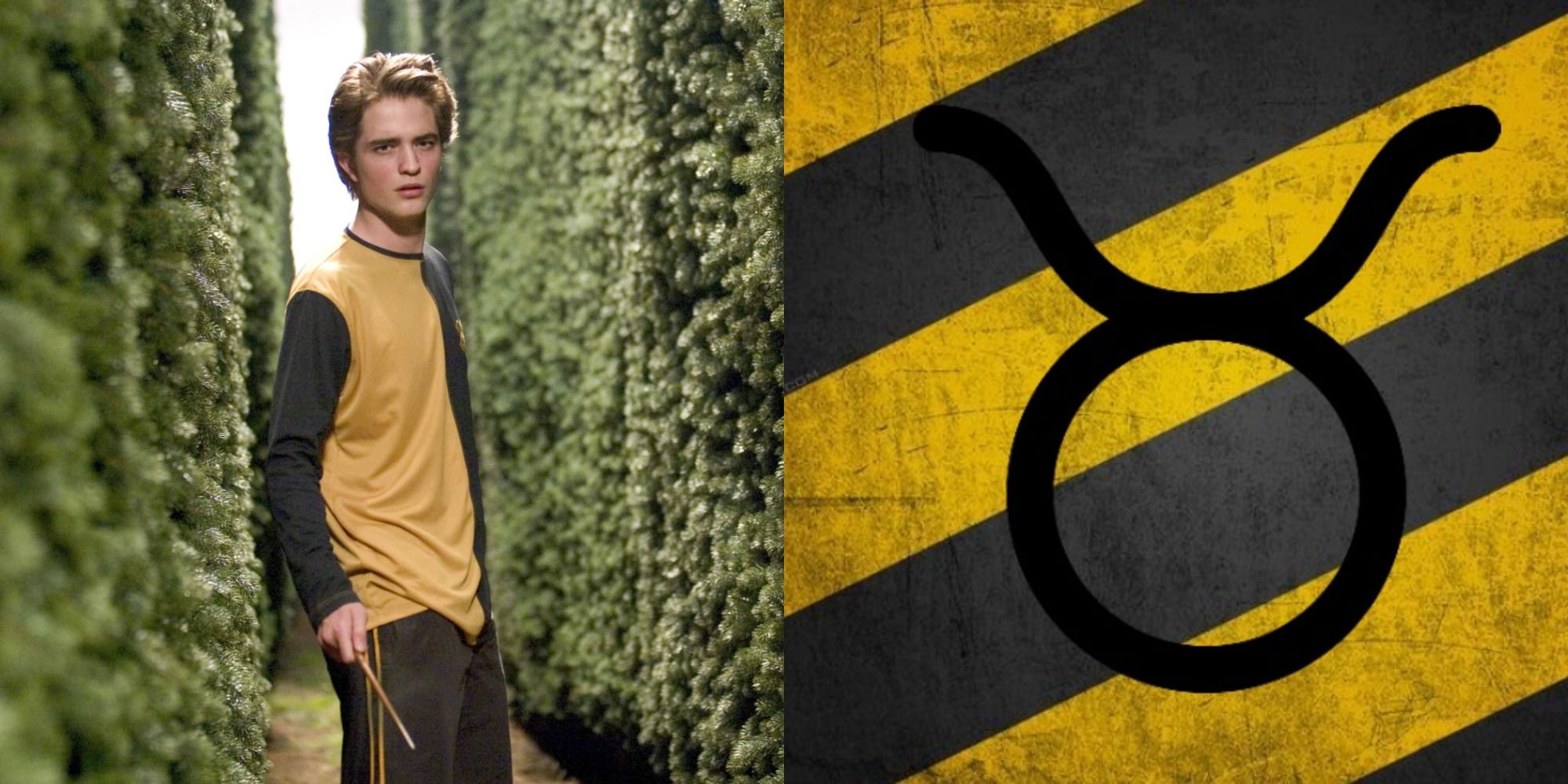 Which Hogwarts House Are You Based On Your Zodiac