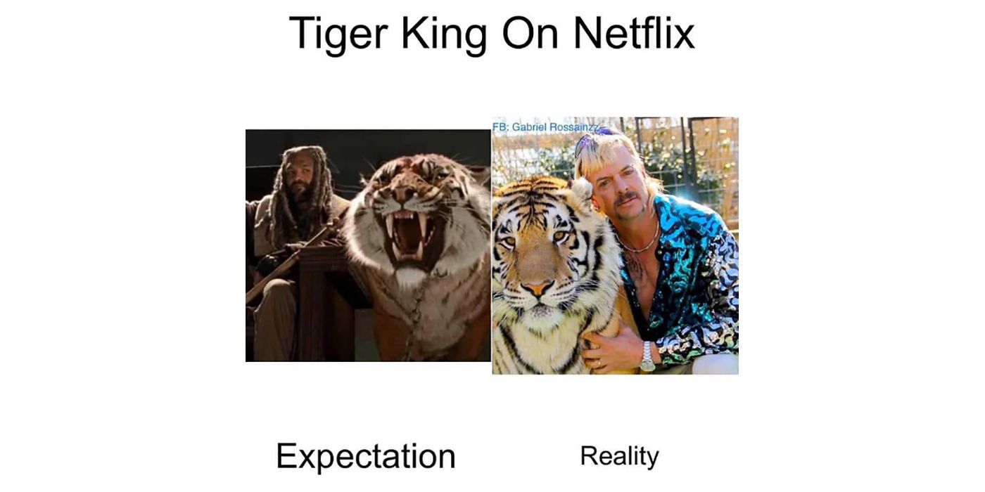 10 Best Tiger King Memes