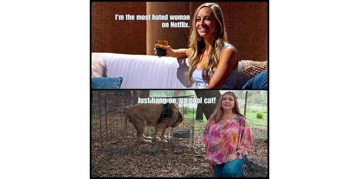 Best Memes Of 2019