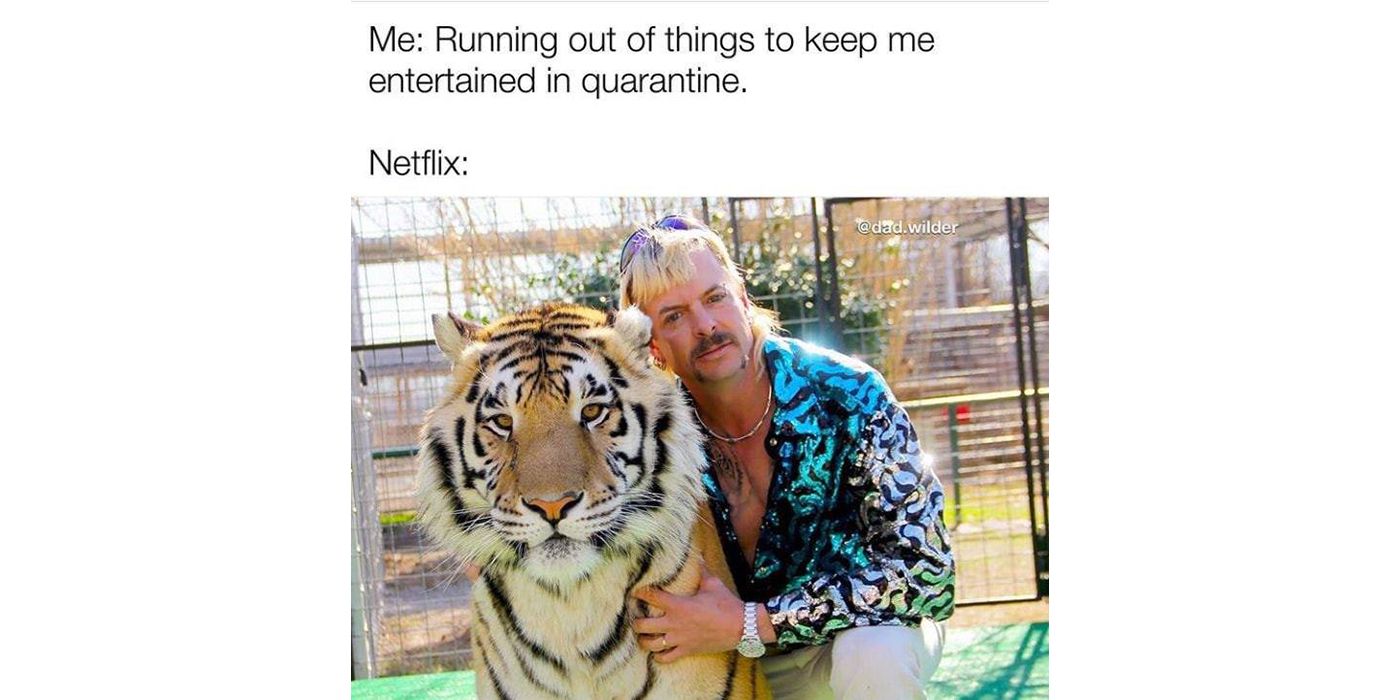 10 Best Tiger King Memes
