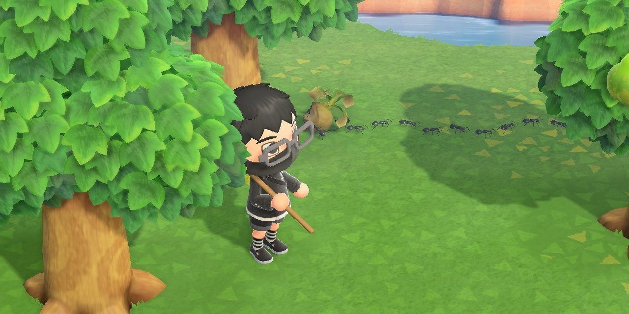 Animal Crossing 10 Bugs That Arent Worth Catching