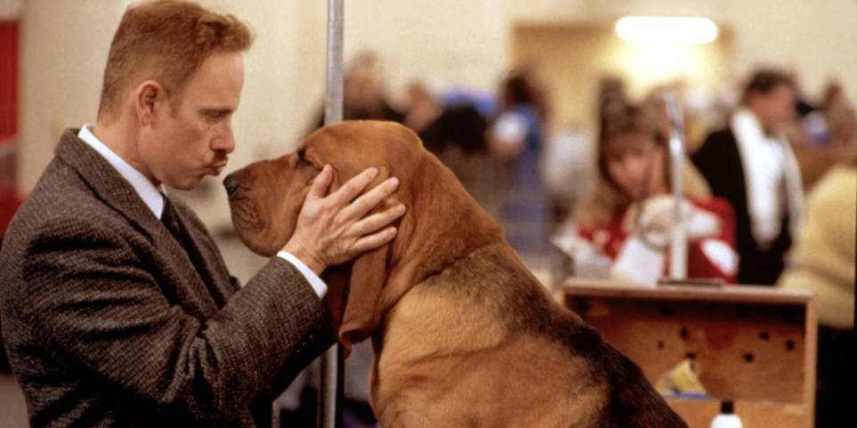 God Loves A Terrier 9 Other Hilarious Quotes From Best In Show God Loves A Terrier 9 Other Hilarious Quotes From Best In Show