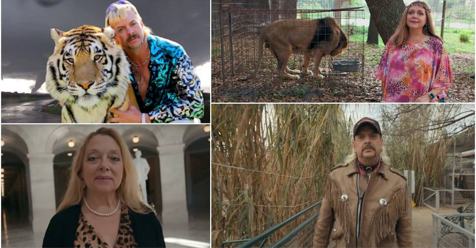 so4qo08yr vom https screenrant com tiger king best quotes series