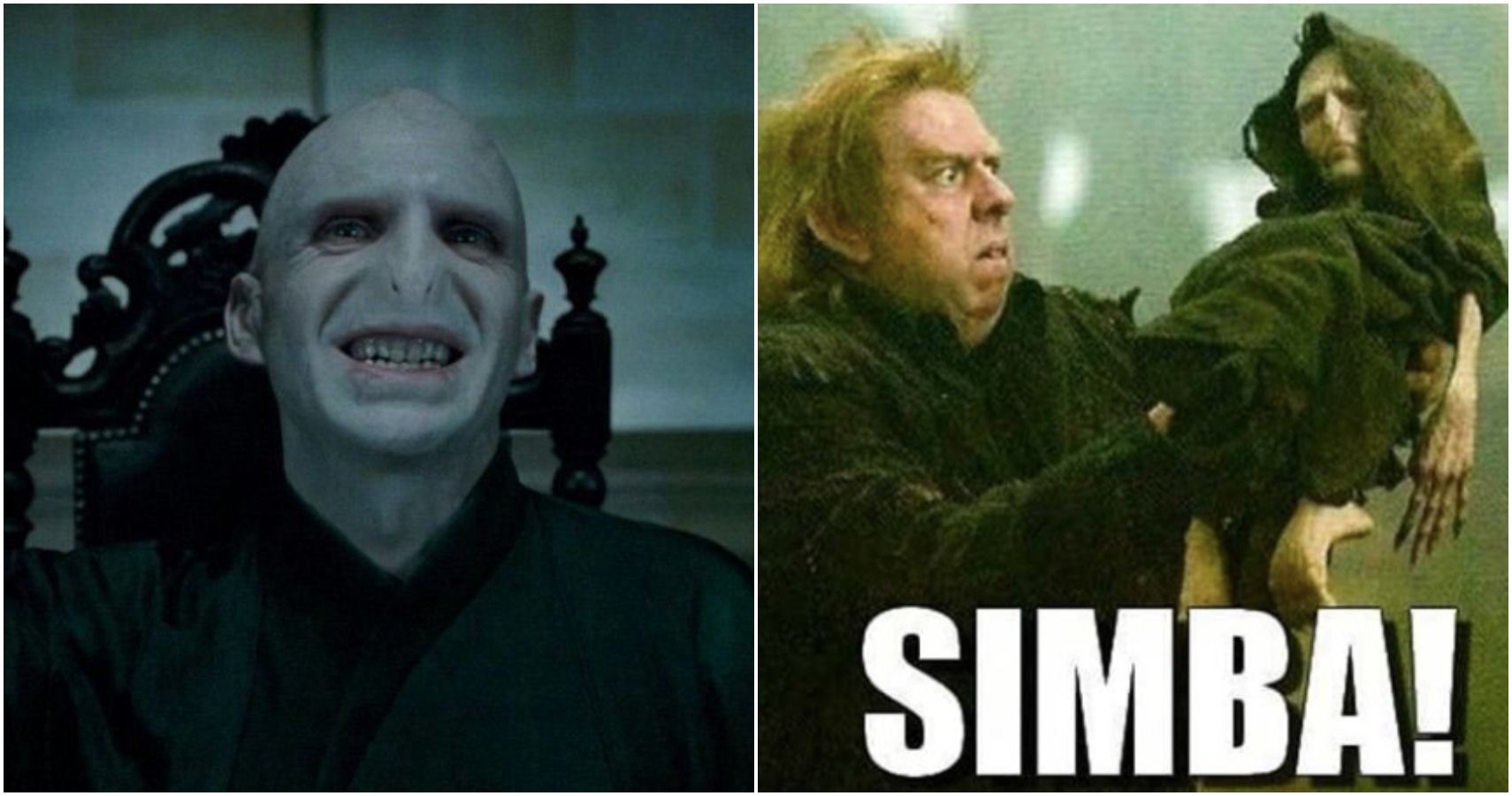 Top 25 Harry Potter Memes Voldemort Harry Potter Memes Hilarious - Vrogue