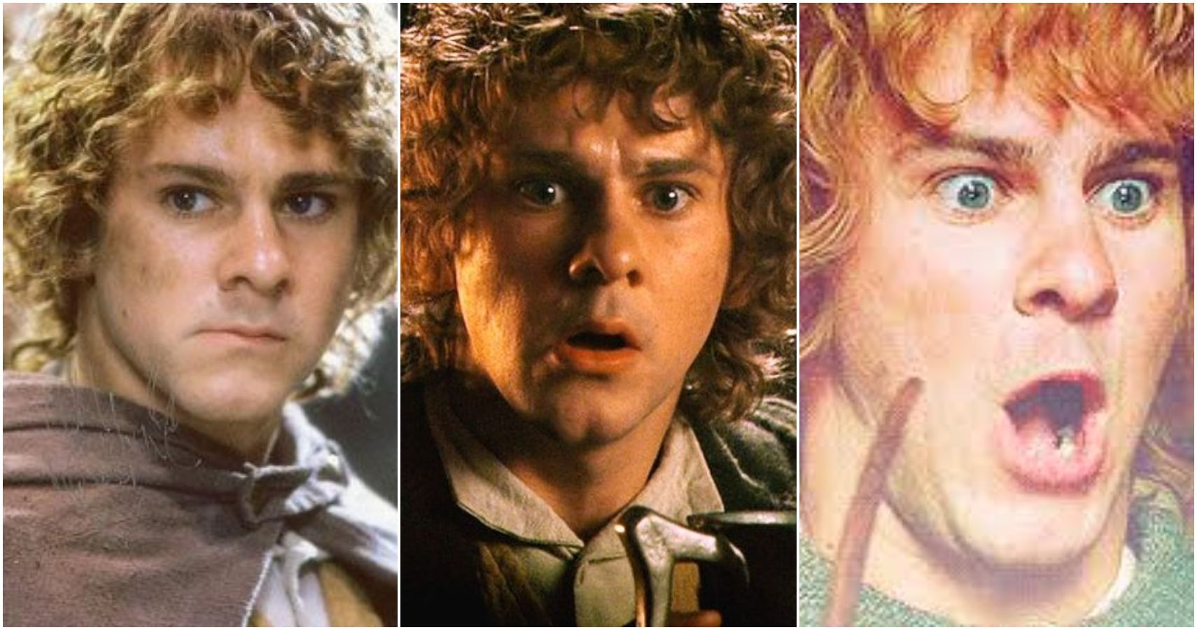 Lord of the Rings: 10 Ways Merry Got Worse & Worse | ScreenRant