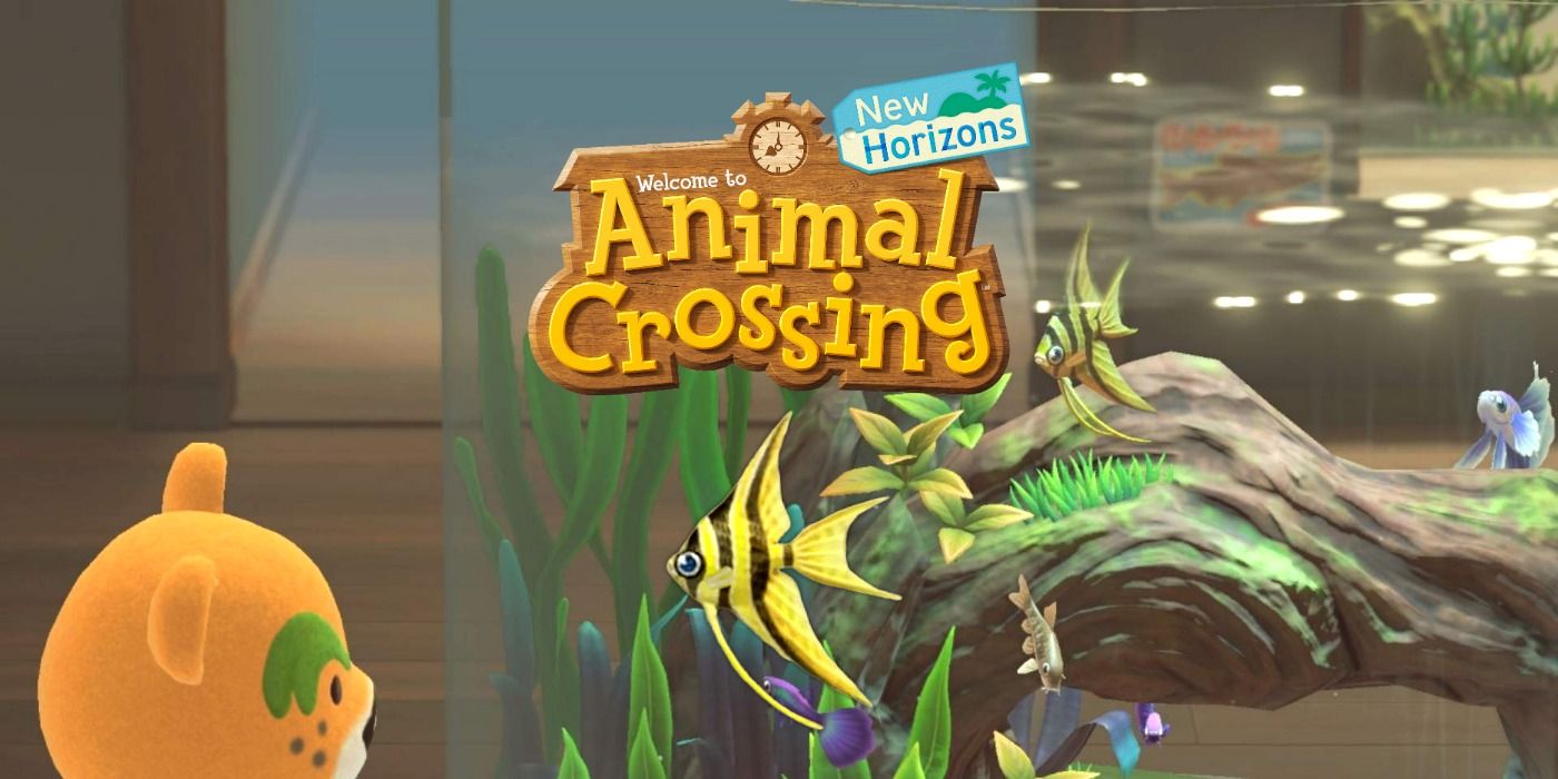 Animal Crossing: New Horizons - How to Catch an Angelfish