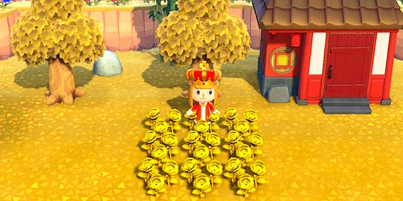 Animal Crossing New Horizons How to Grow Gold Roses