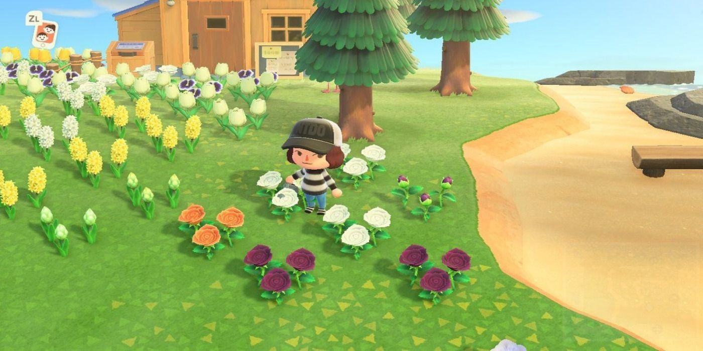 Animal Crossing New Horizons Garden Designs Tips & Tricks