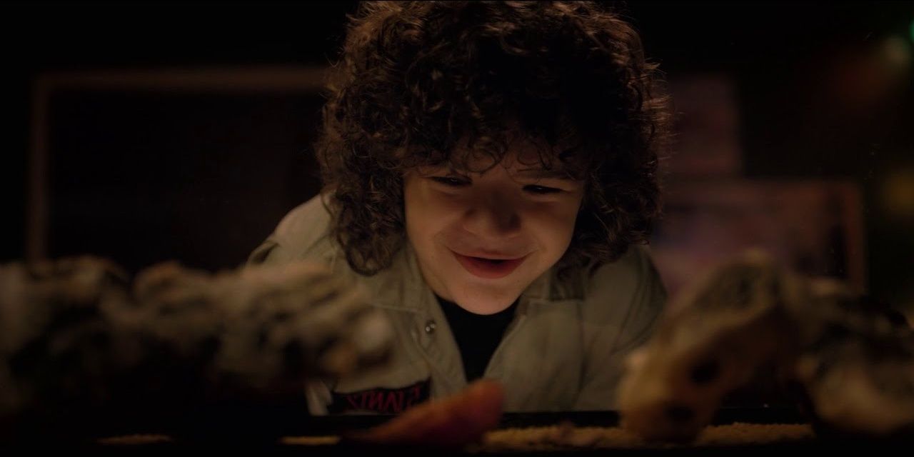 Stranger Things 5 Times We Felt Bad For Dustin (& 5 Times We Hated Him)