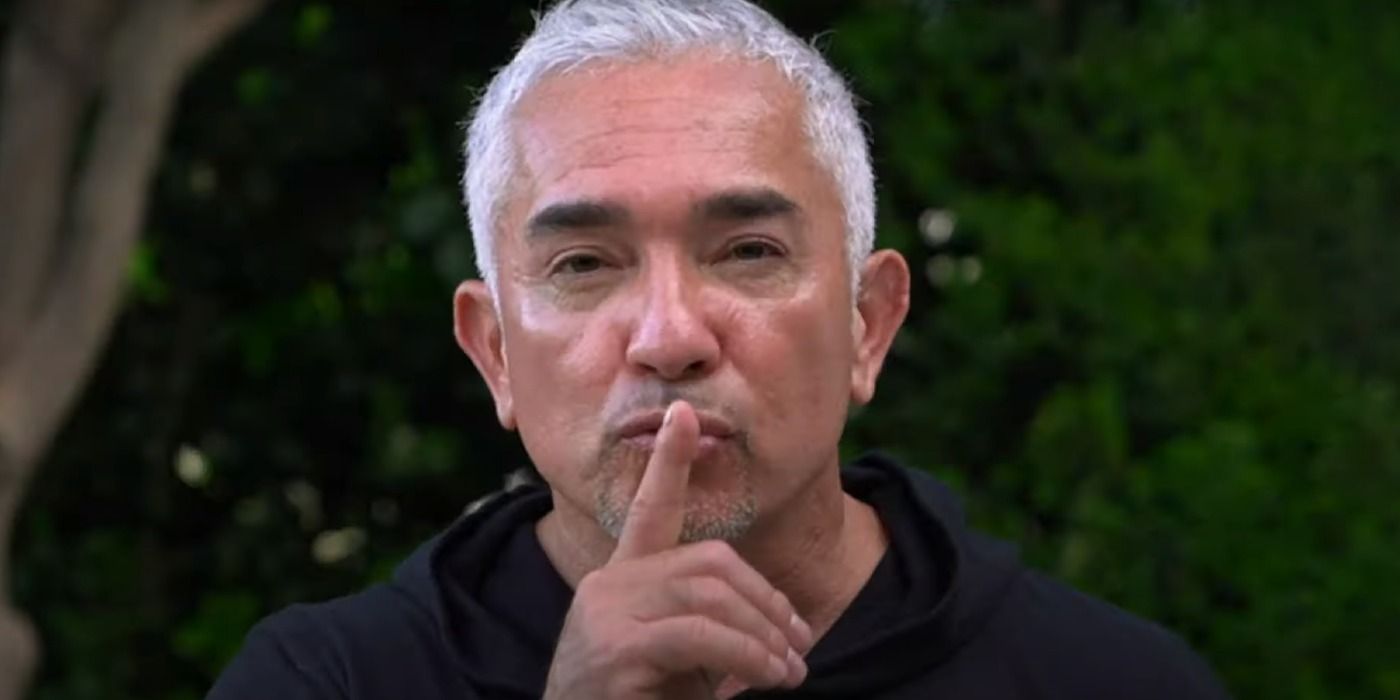 What Happened To Cesar Millan After His Show Dog Whisperer Ended?
